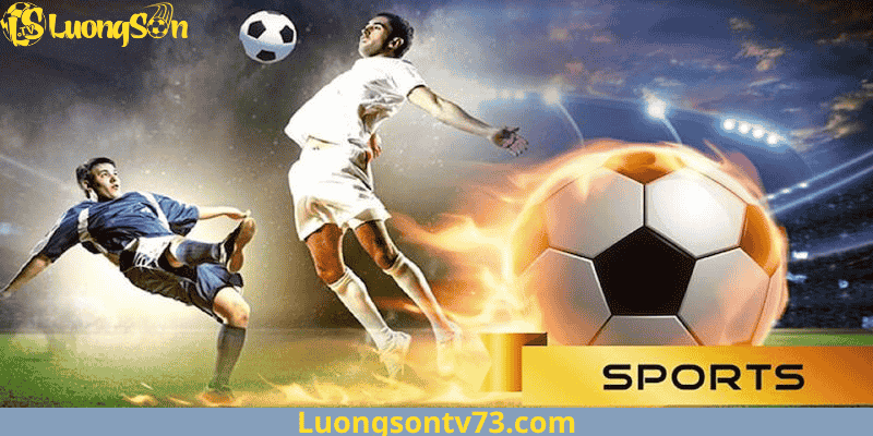 Trang chủ 356 Định Hướng Phát Triển Của LuongSonTV Trong Tương Lai